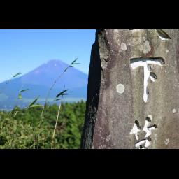 Portrait de TravelTV